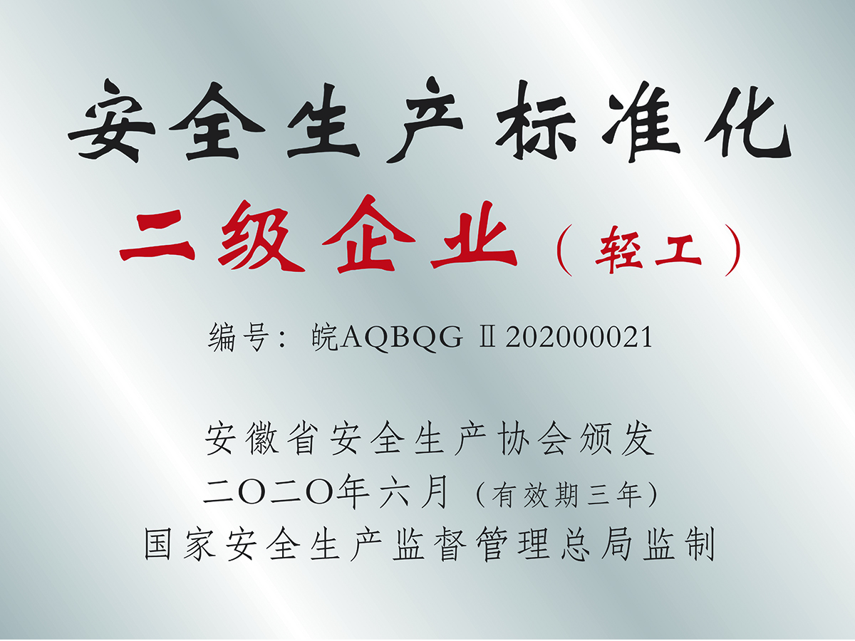 安全生產(chǎn)標(biāo)準(zhǔn)化二級(jí)企業(yè)